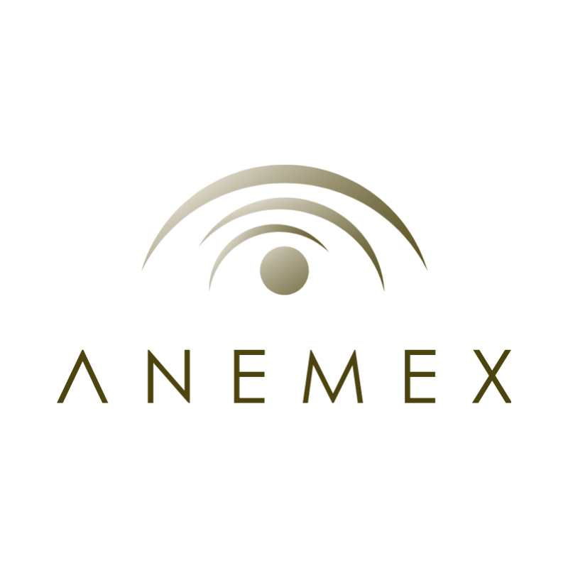 https://beta.isibai.mx/dist/img/allies/payment-service/anemex.png